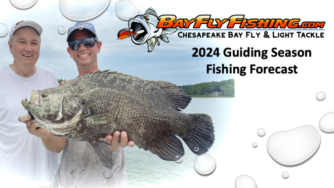 Saltwater Fly Fishing in Virginia on the Chesapeake Bay